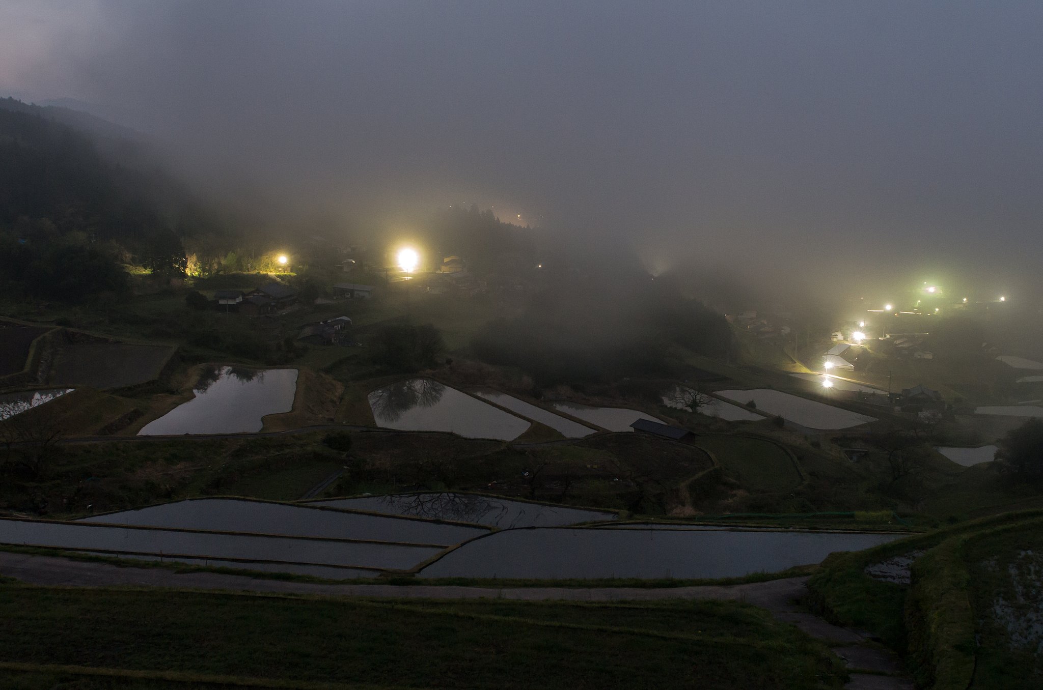 The 　Ｗelcome　Fog