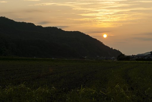 夕焼け。
