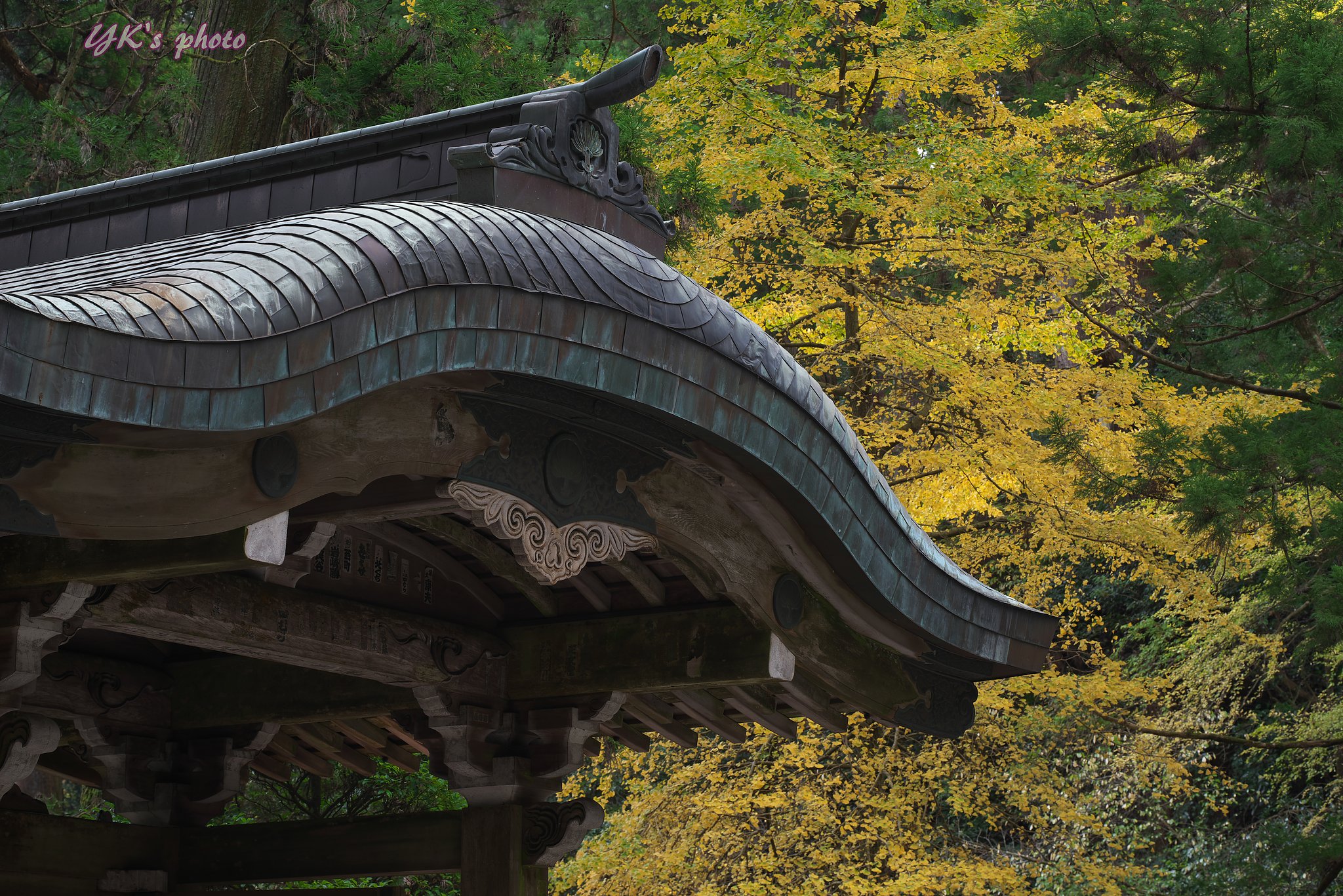 Otus 85mm F1.4 ZF2