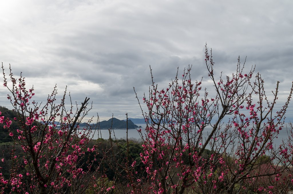 曇り空