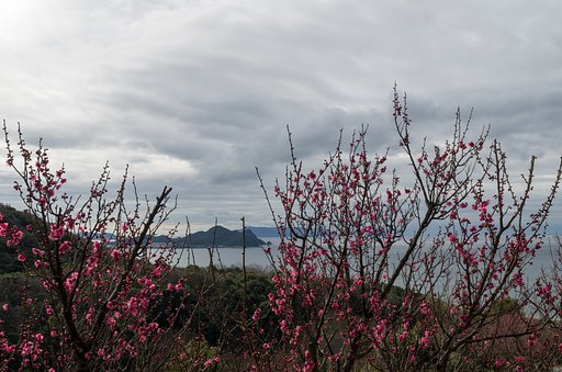 曇り空