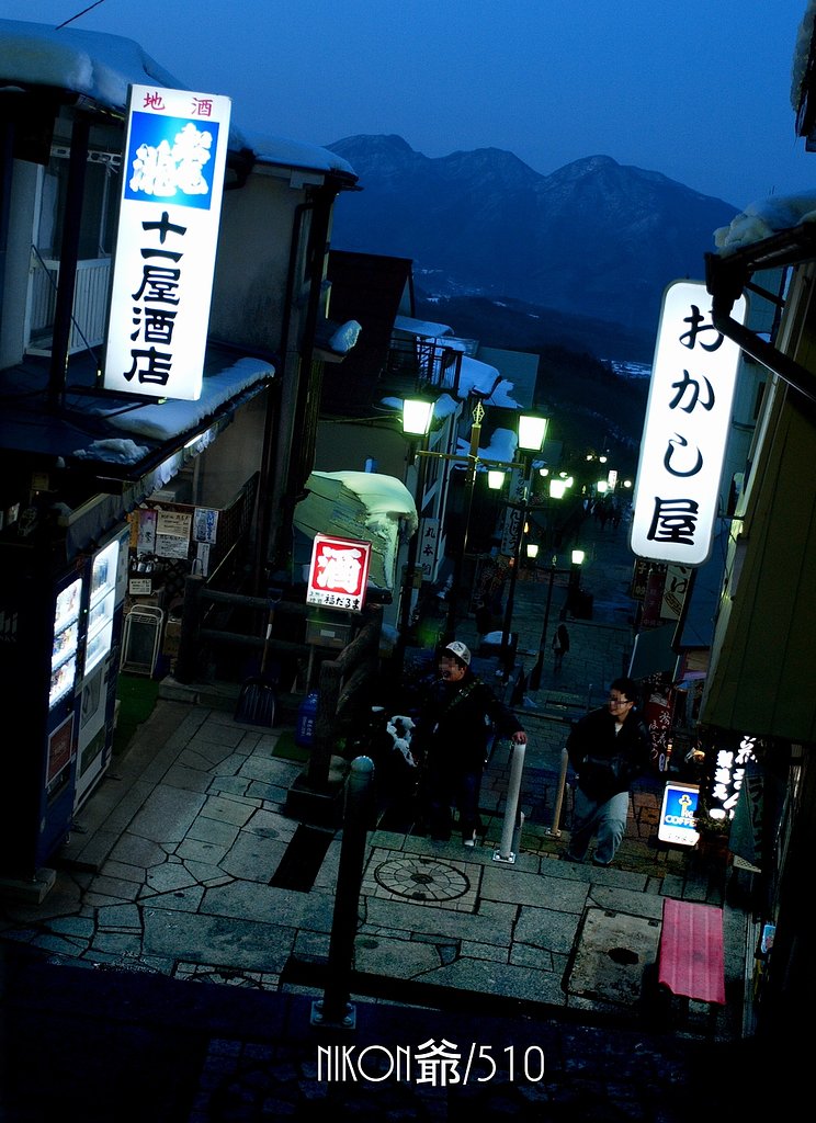 365段の散歩