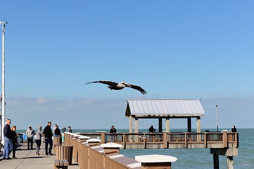 Pier 60 at Clearwater Beach