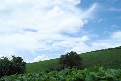 Fuji XF23