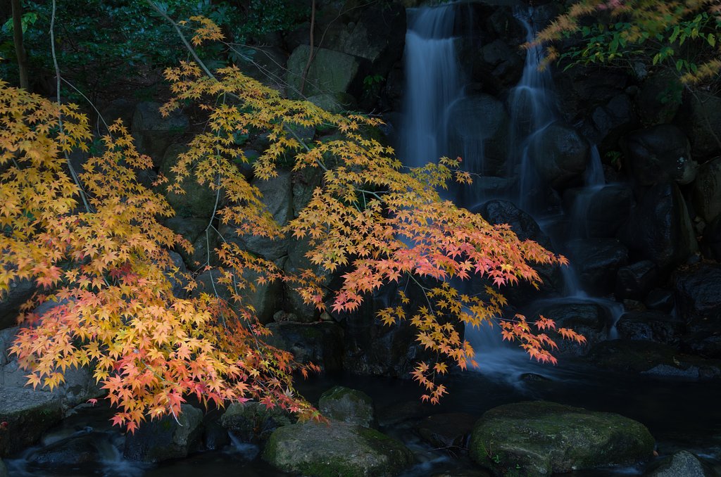 滝に紅葉