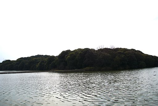 河内大塚山古墳（大阪）