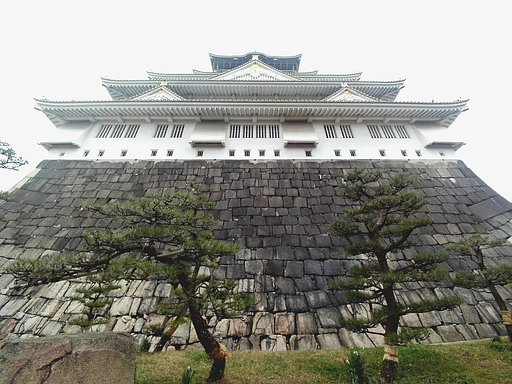 【今年の一枚】頭が高い！皆の者ひかえよ！