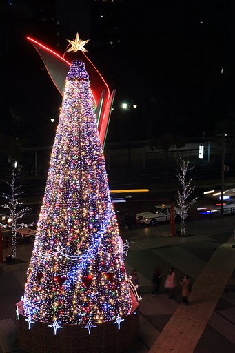 広島パセーラ大ツリー　俯瞰