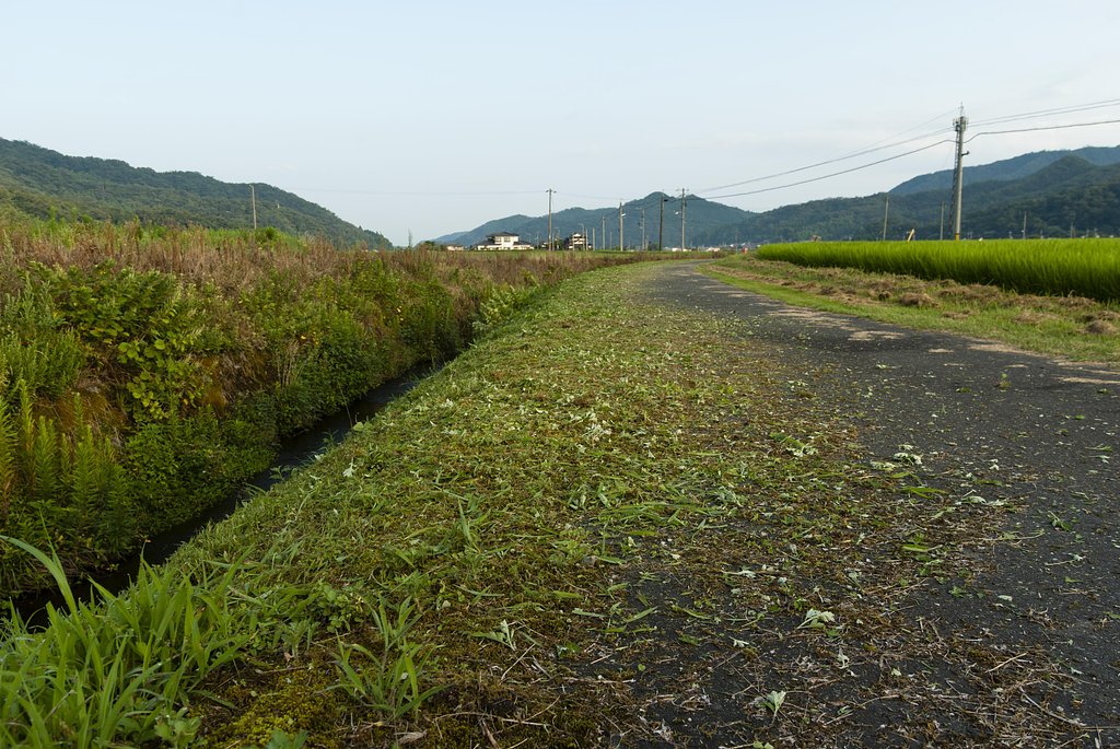 草刈の後。