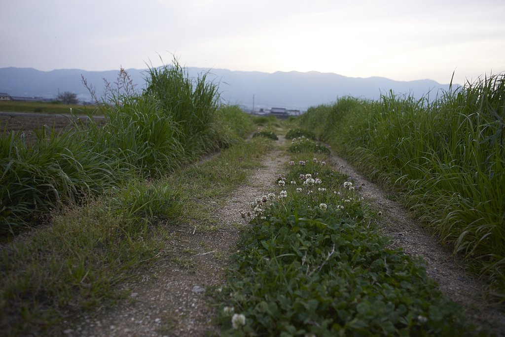 農道