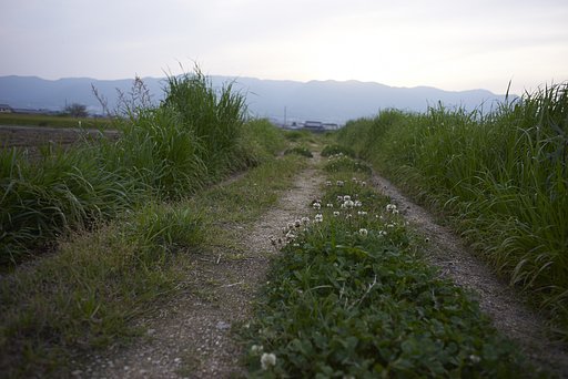 農道