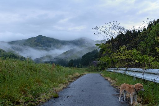 県境の山。