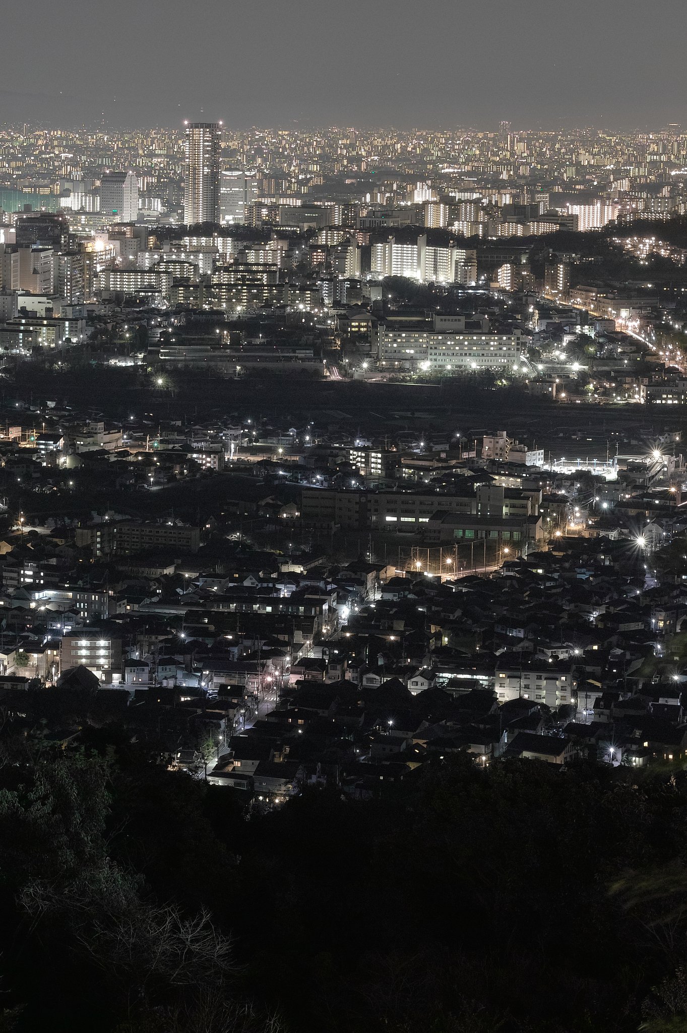 【縦画像】夜景