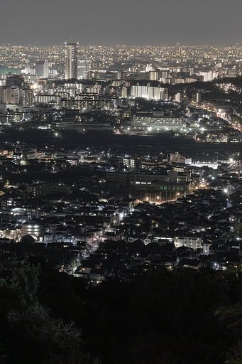 【縦画像】夜景