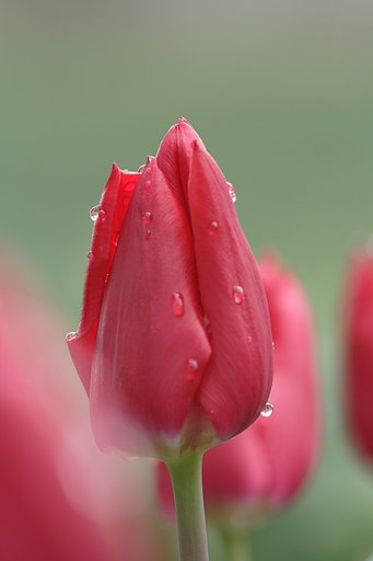 雨のち曇り