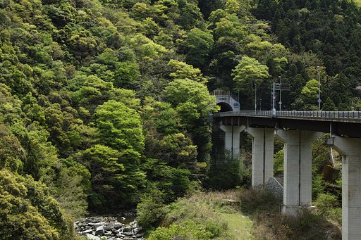 新緑と養瀬トンネル