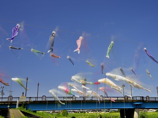 泳げ！泳げ！