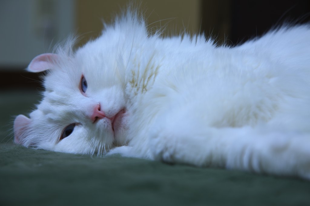 Lrでボツ写真を救うⅡ
