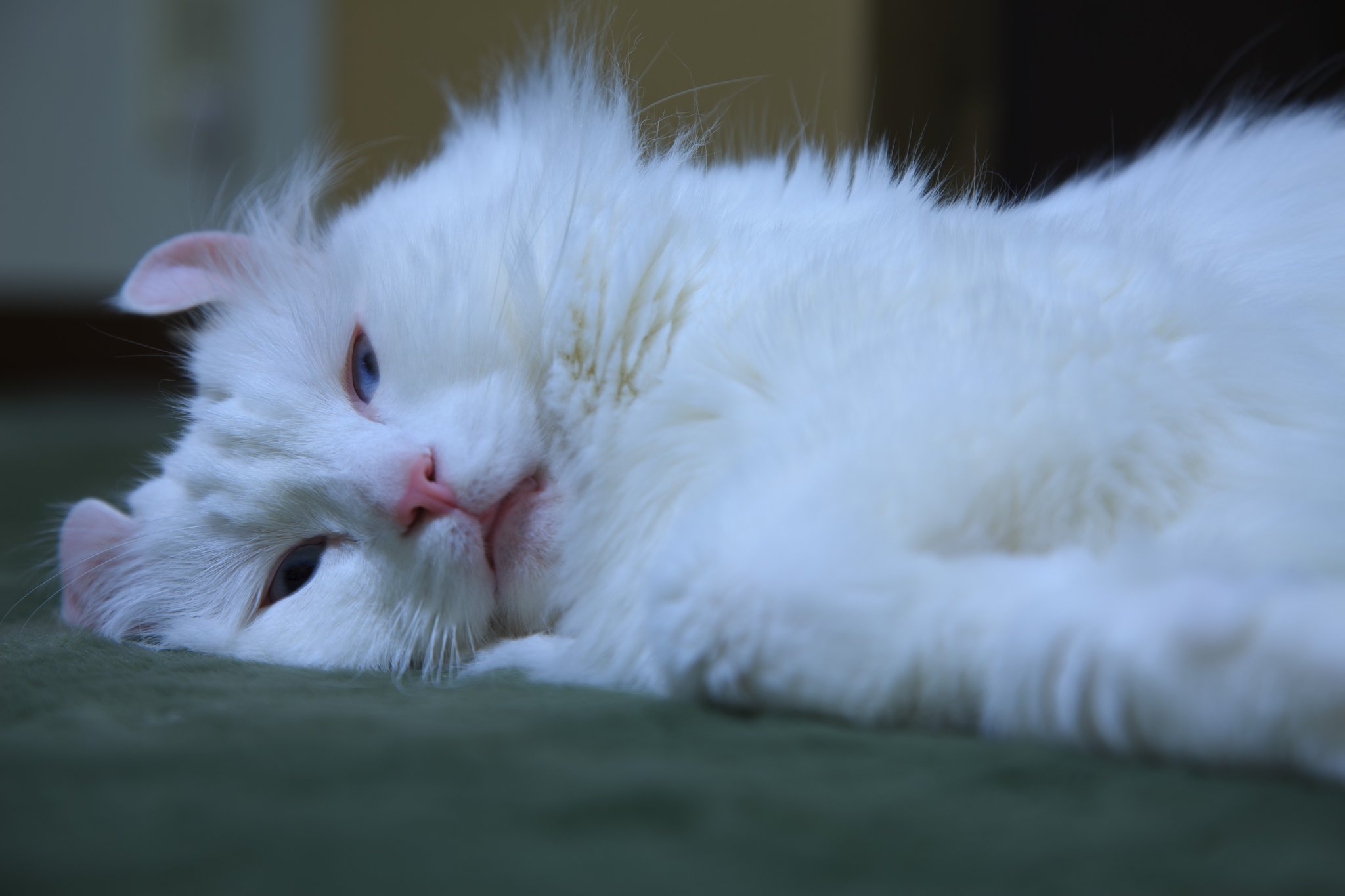 Lrでボツ写真を救うⅡ
