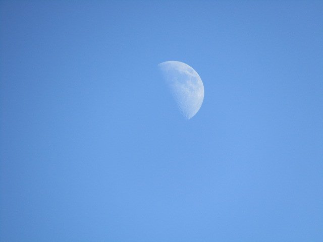 白昼夢に半月が見えました