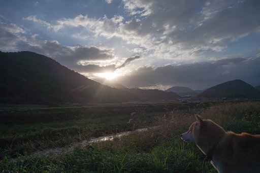 晴れのち曇り。