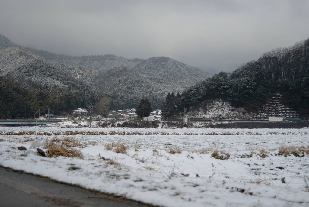 雪が降る・・。