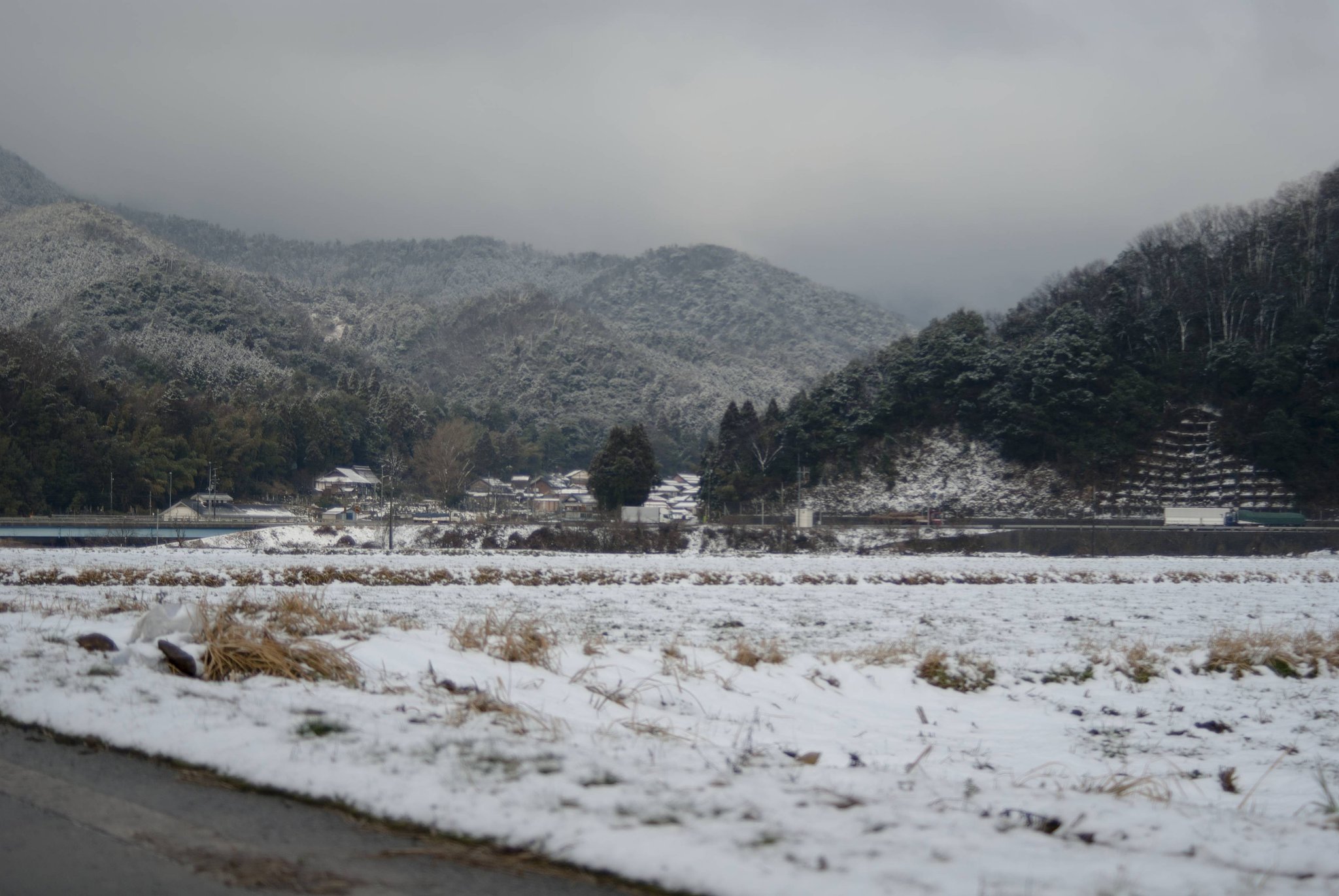 雪が降る・・。