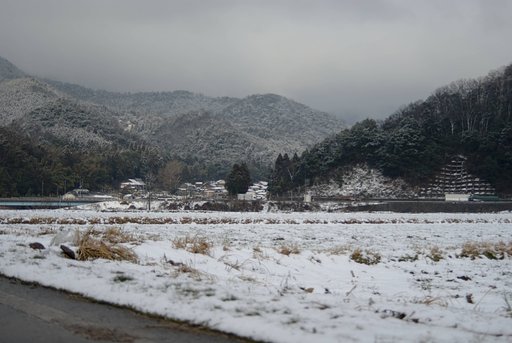 雪が降る・・。