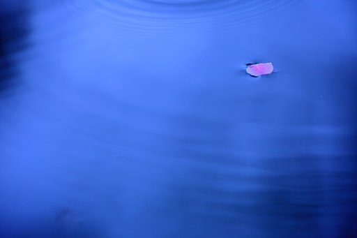 宴の後