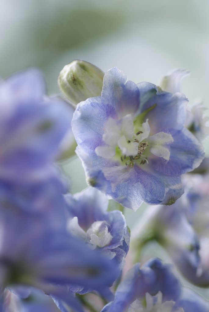 SP　AF90mmF/2.8 Di