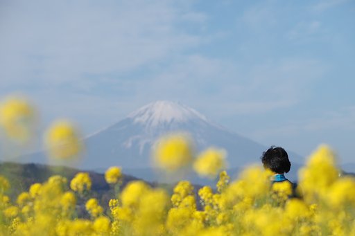 ひだまりの時2