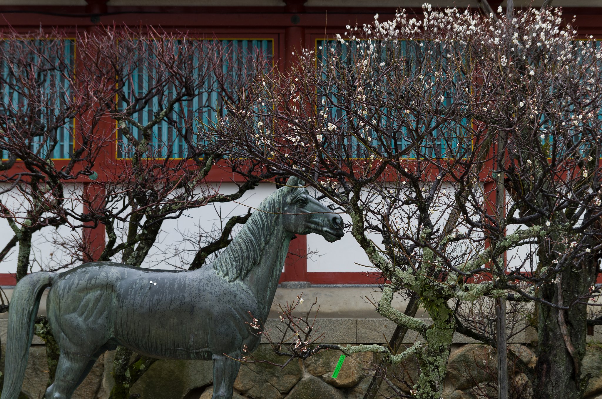 梅の香
