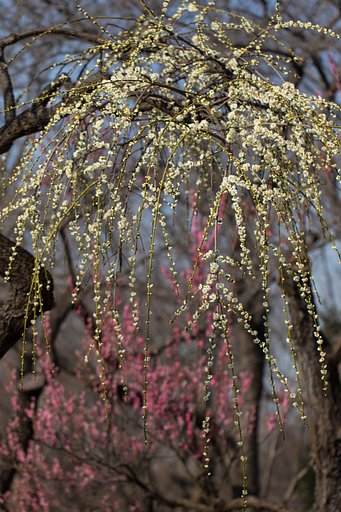 EF100mm F2.8 L IS MACRO
