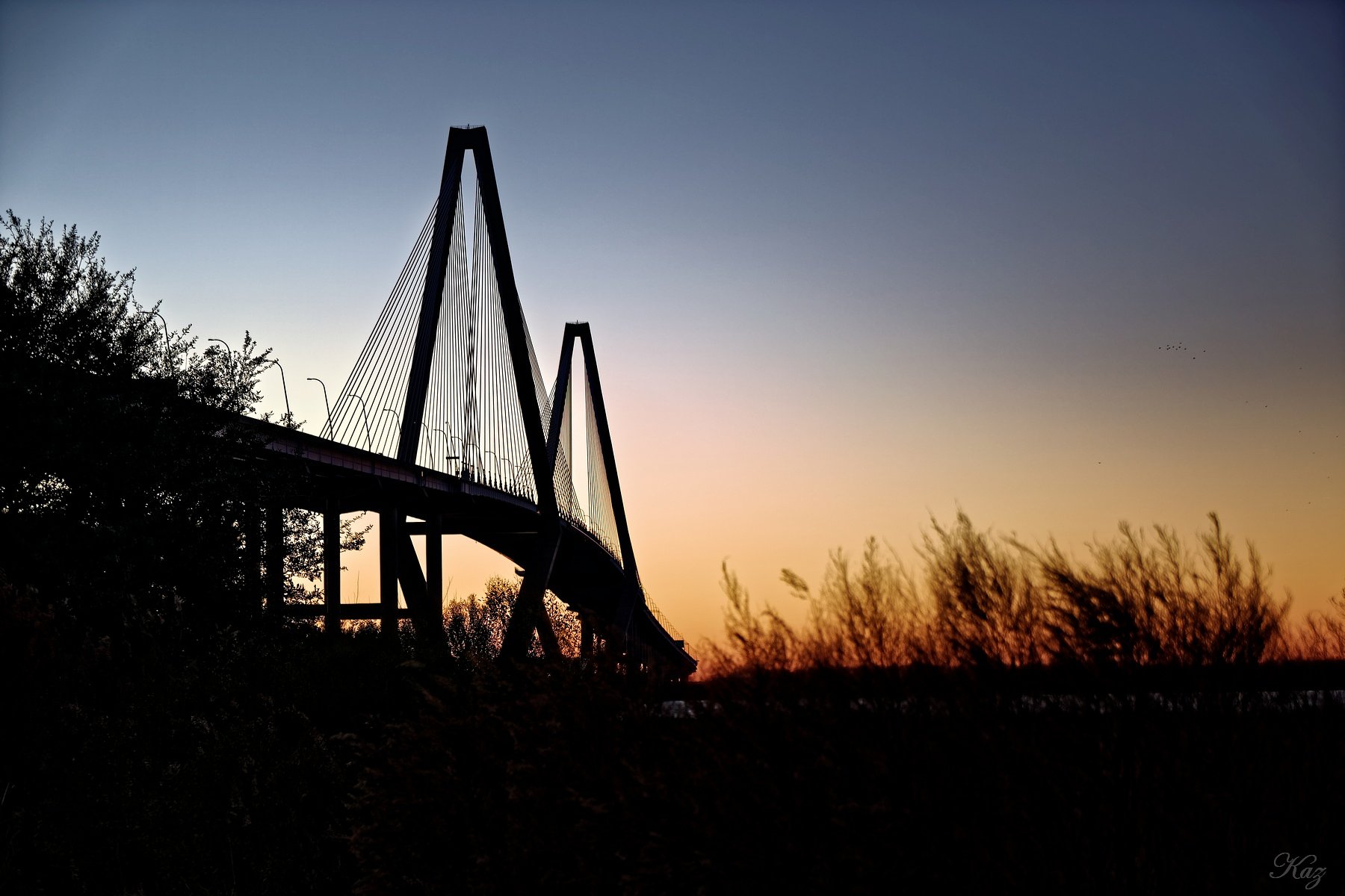 Arthur Ravenel Jr. Bridge