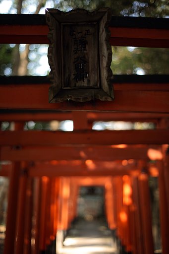 Y/C P50㎜ F1.4　AEJ