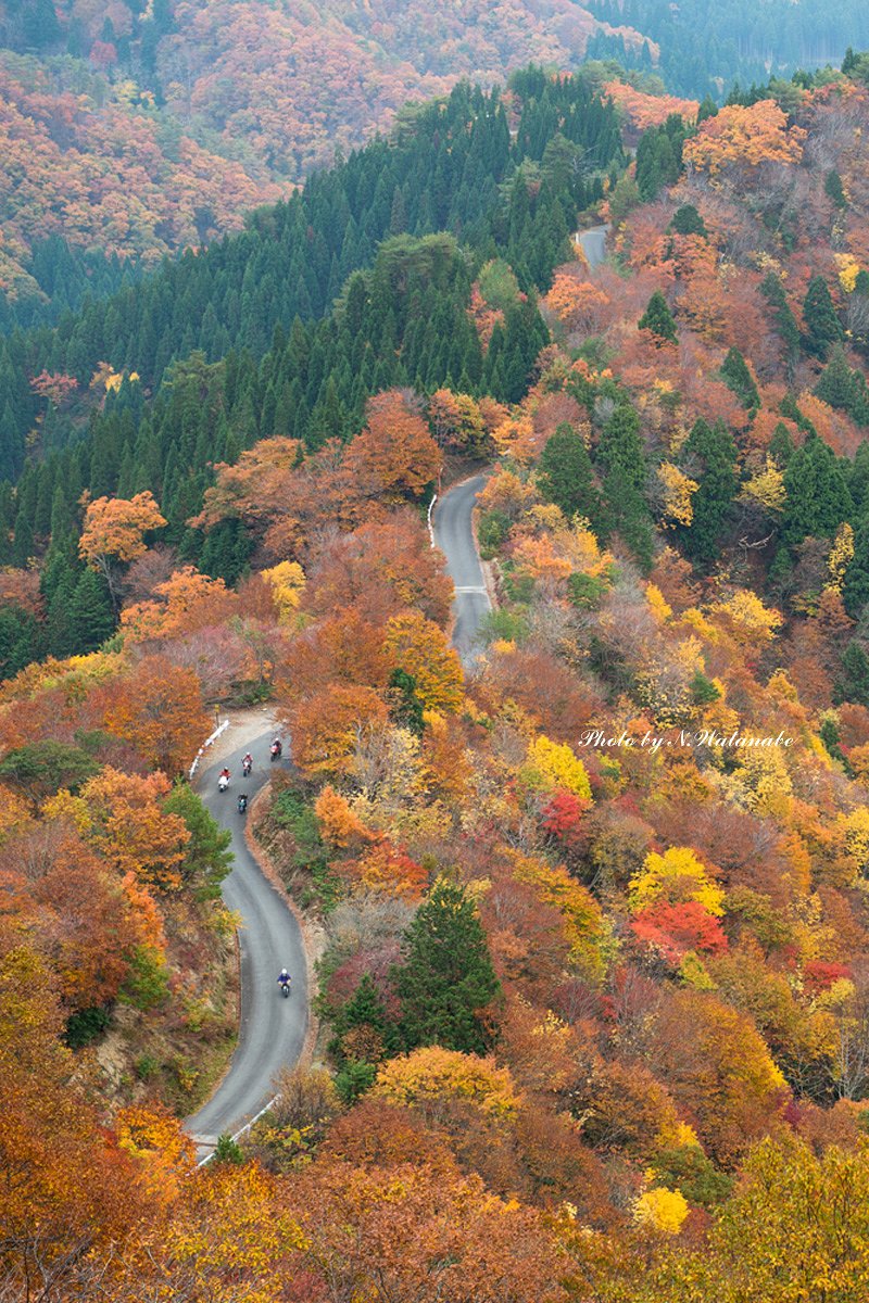 紅葉ツーリング