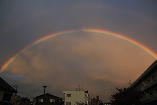 虹が出ました