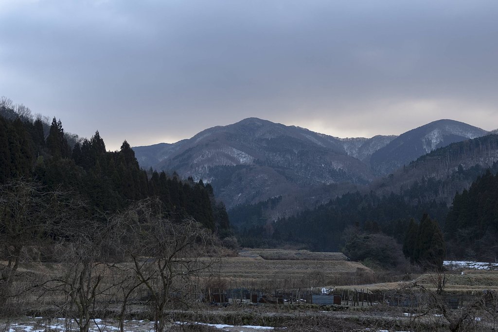 冬型・・。