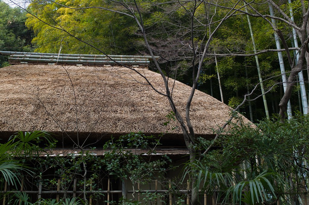 SUMMILUX-M 1.4/50 ASPH