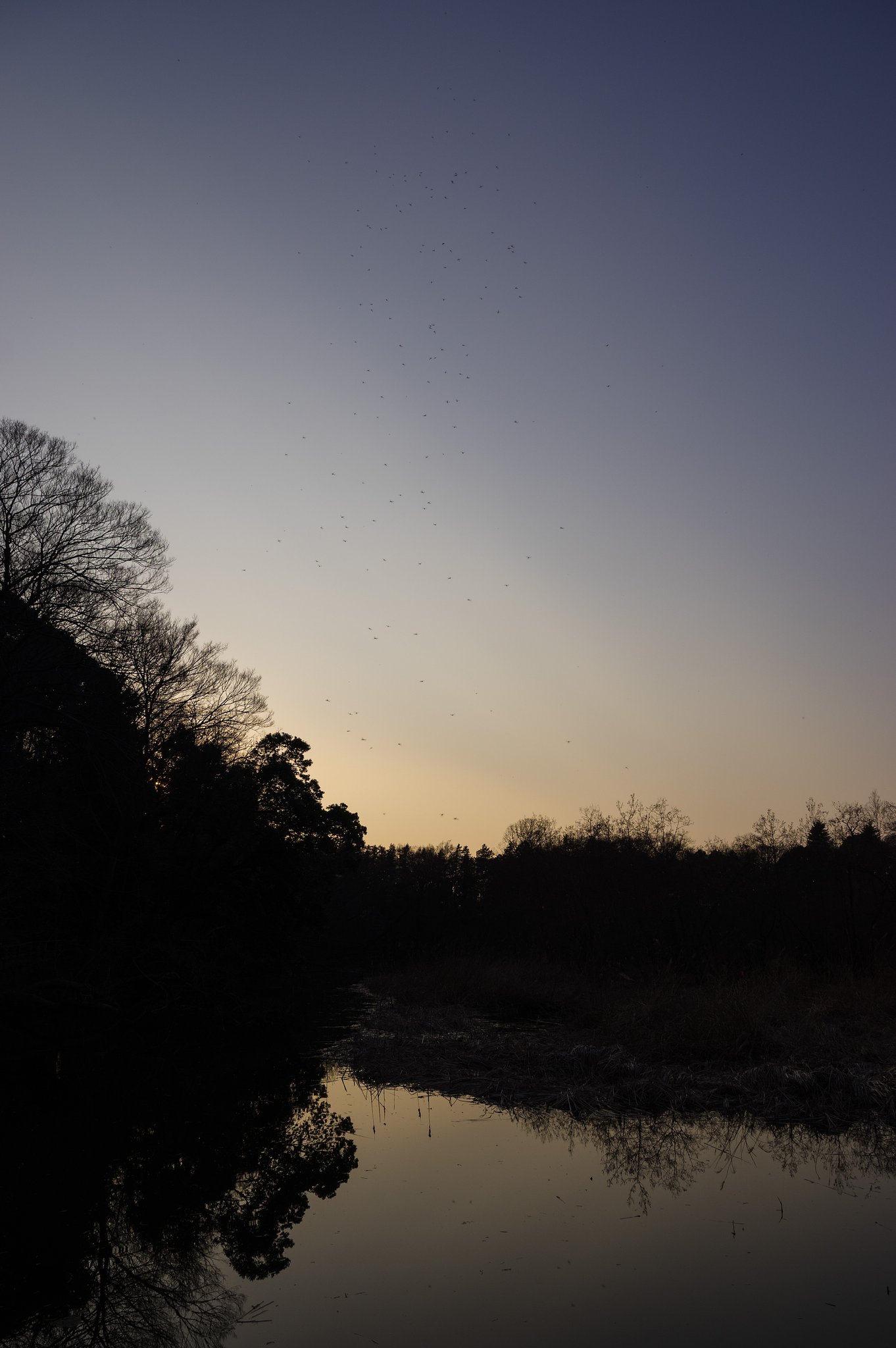 春の夕暮れ