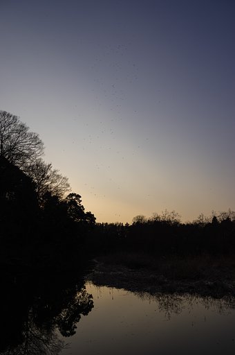 春の夕暮れ