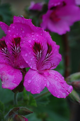 雨・雨♪
