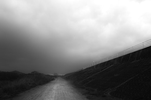 12月1日の写真