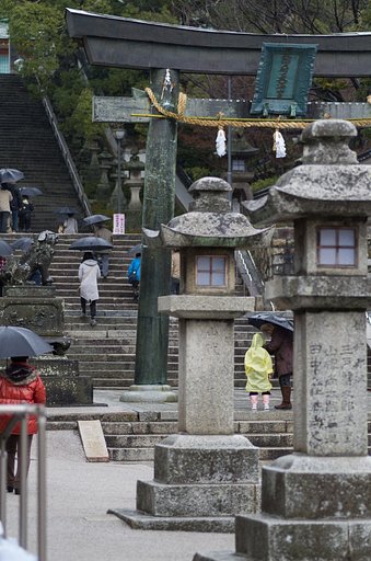 雨