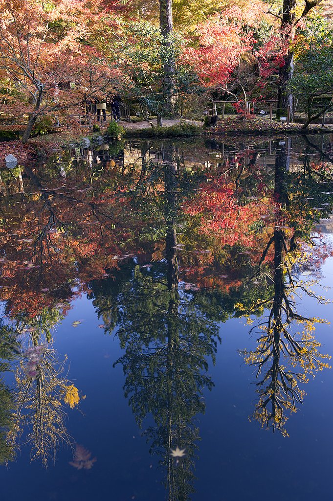 鏡池の逆さ紅葉
