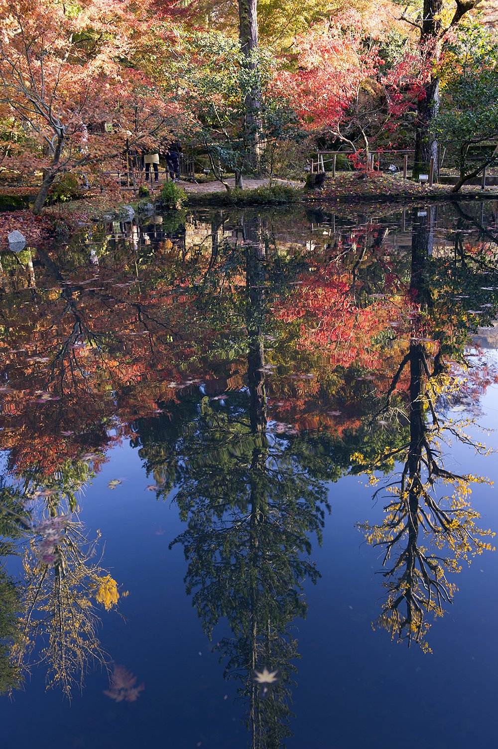 鏡池の逆さ紅葉