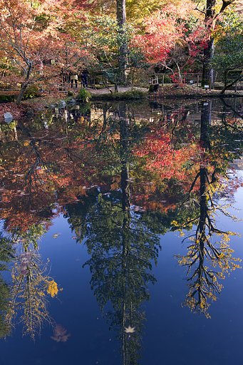 鏡池の逆さ紅葉