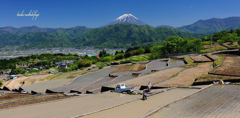 山梨の棚田