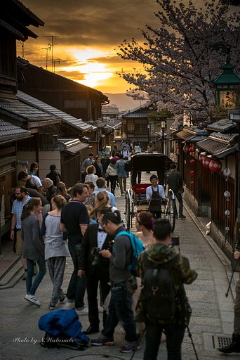 平日の京都