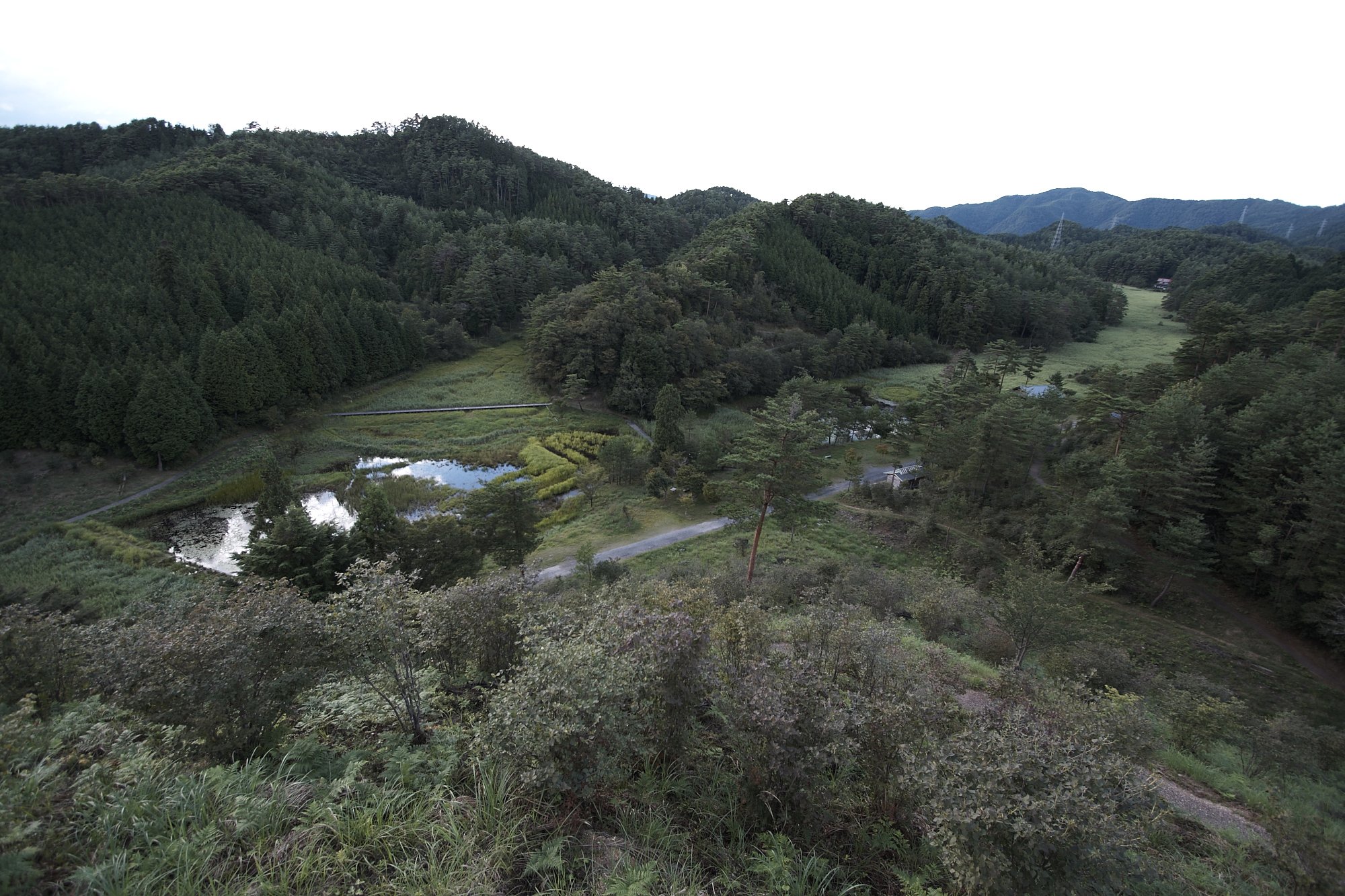 黒沢湿原